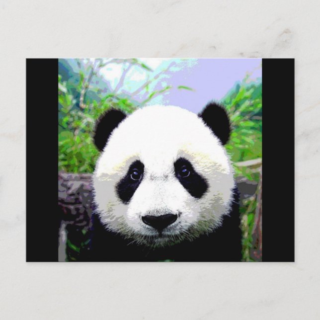 Carte Postale Ours Panda (Devant)