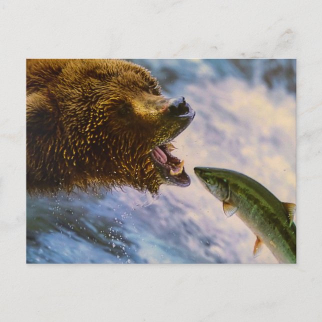 CARTE POSTALE OURS POISSON ANIMAL SAUVAGE POSTCROSSING (Devant)
