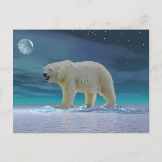 Carte Postale Ours polaire au clair de lune (Devant)