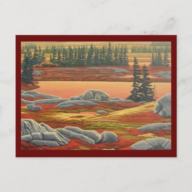 Carte postale Ours Polaire Cartes postales Ours D' (Devant)