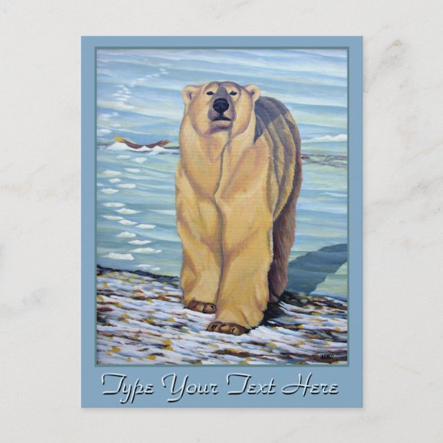 Carte postale Ours Polaire Cartes postales Ours Po (Devant)