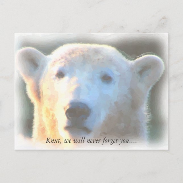 Carte Postale Ours polaire R.I.P. Knut aquarelle (Devant)