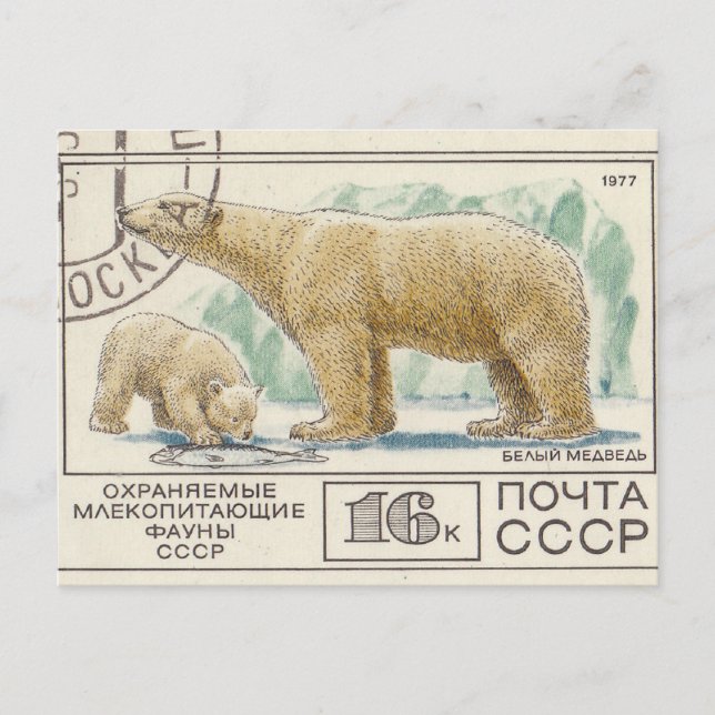 Carte Postale Ours polaire soviétique (Devant)