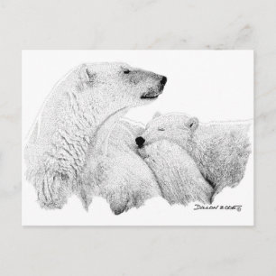 Carte Postale Ours polaires