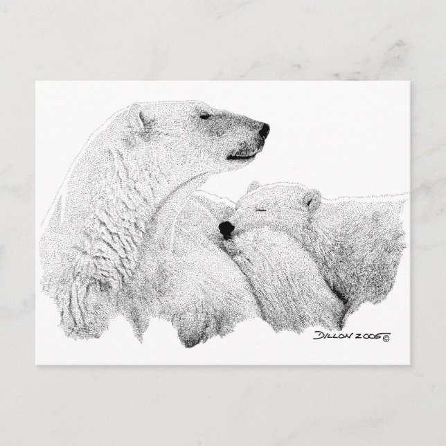 Carte Postale Ours polaires (Devant)