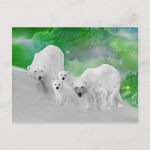 Carte Postale Ours polaires, oursons et feux nord
