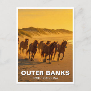 Carte Postale Outer Banks Caroline du Nord Chevaux Voyage