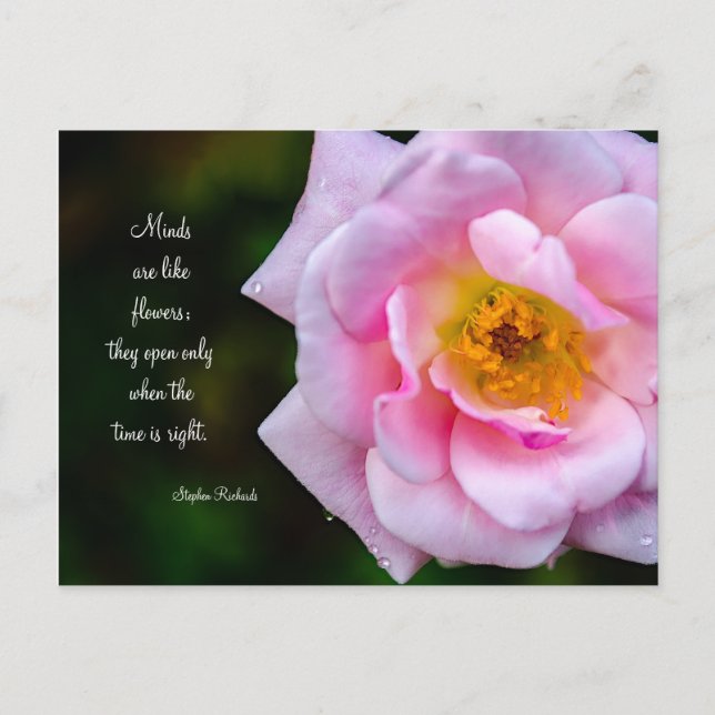 Carte Postale Ouvrez votre esprit comme une fleur (Devant)