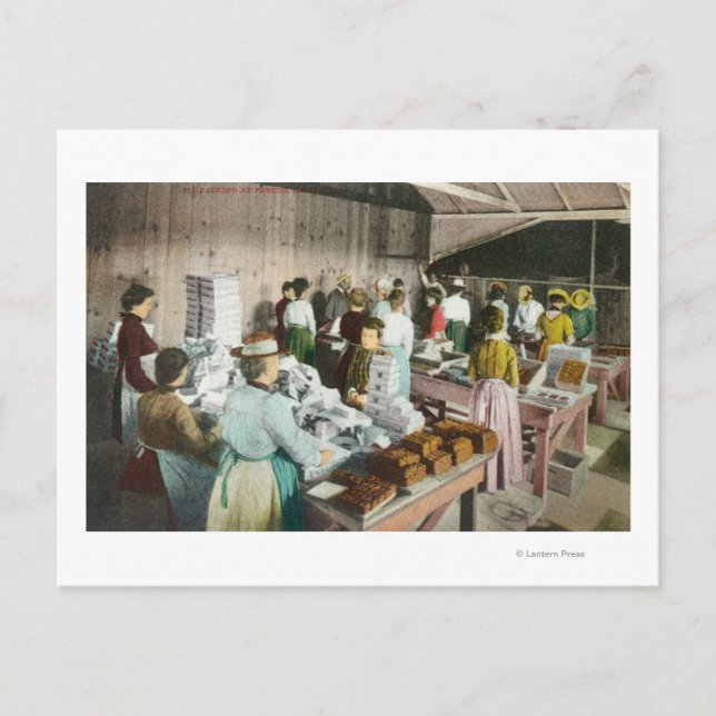 Carte Postale Ouvriers de l'emballage des bonbonsFresno, CA (Devant)