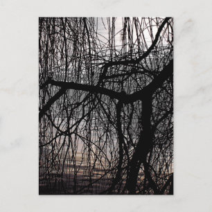 CARTE POSTALE OUVRIR DES ARBRES SAUVAGES