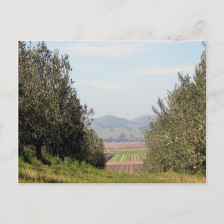 Carte Postale Overlooking San Juan Valley