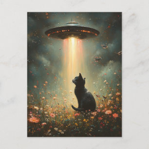 Carte Postale Ovni et un chat noir