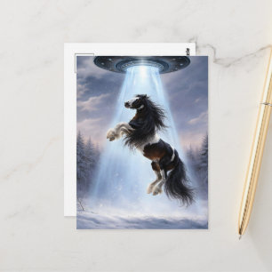 Carte Postale OVNI ramassant un cheval Vanner Gypsy tacheté