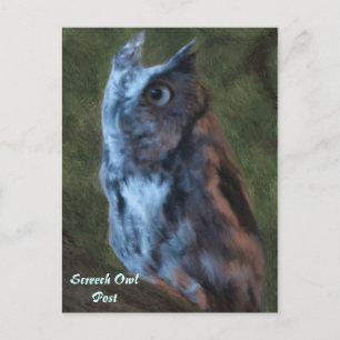 Carte postale Owl