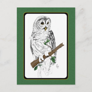 Carte postale Owl 3
