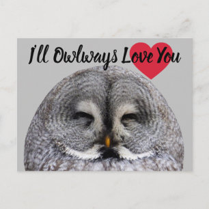 Carte Postale Owl Love Valentine