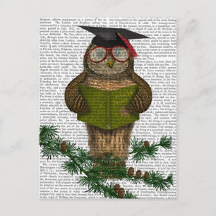 Carte Postale Owl Reading On Branch