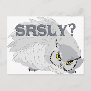 Carte Postale Owl SRSLY ?