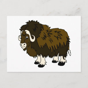 Carte Postale Ox musqué