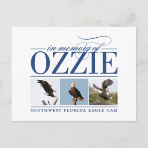 Carte postale Ozzie
