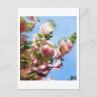 CARTE POSTALE P4240442