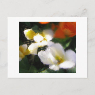 CARTE POSTALE P4290105