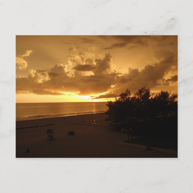 CARTE POSTALE P8190542 (Devant)