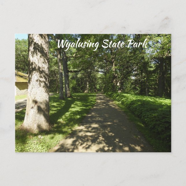 Carte postale P du parc d'État Wyalusing (Devant)