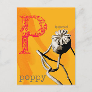 Carte Postale P est pour Poppy
