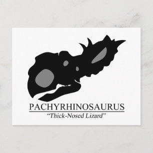 Carte Postale Pachyrhinosaurus