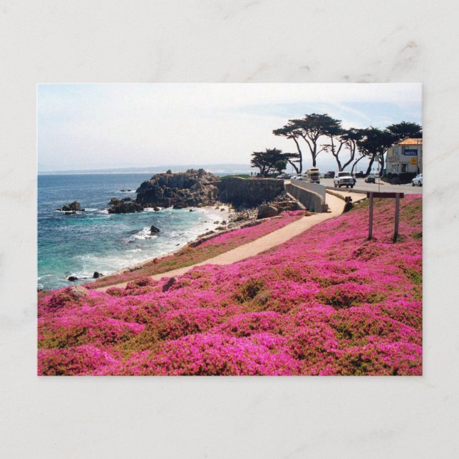 Carte Postale Pacific Grove-Monterey Californie (Devant)