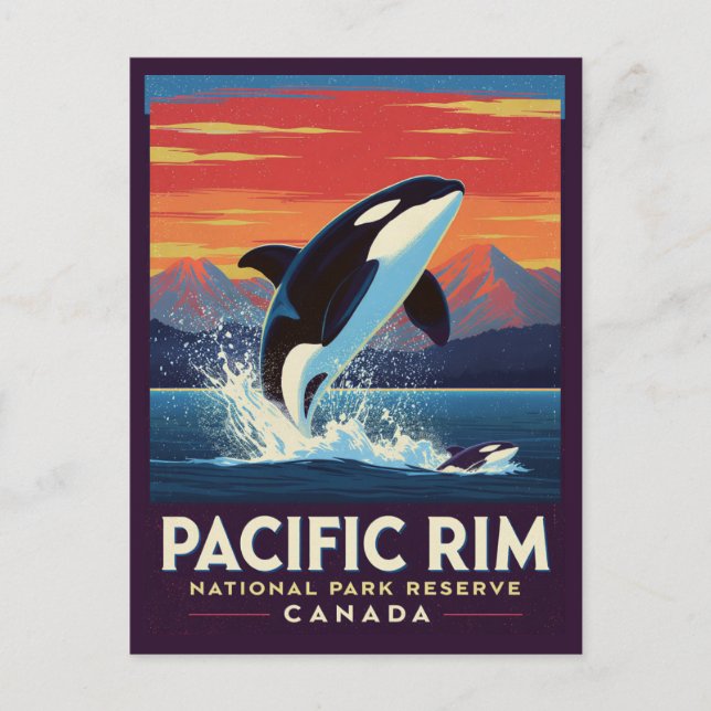 Carte Postale Pacific Rim National Park Orca Breaching (Devant)