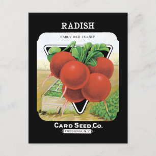 Carte Postale Pack de démarrage Radish