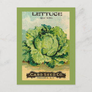 Carte Postale Pack de semences de laitue