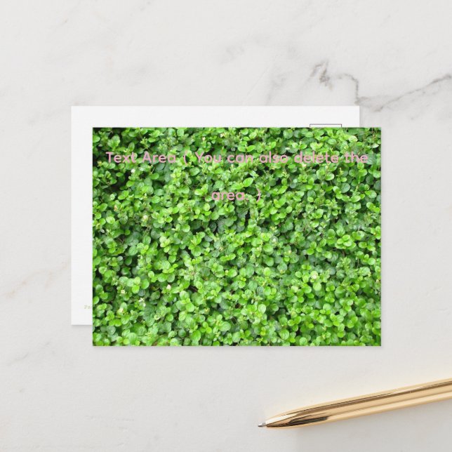 Carte Postale Packed with greenery (Devant/Arrière en situation)
