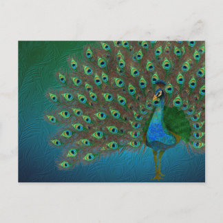 Carte Postale Pacock