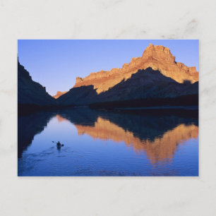Carte Postale Pagaie sur la rivière Colorado en espagnol