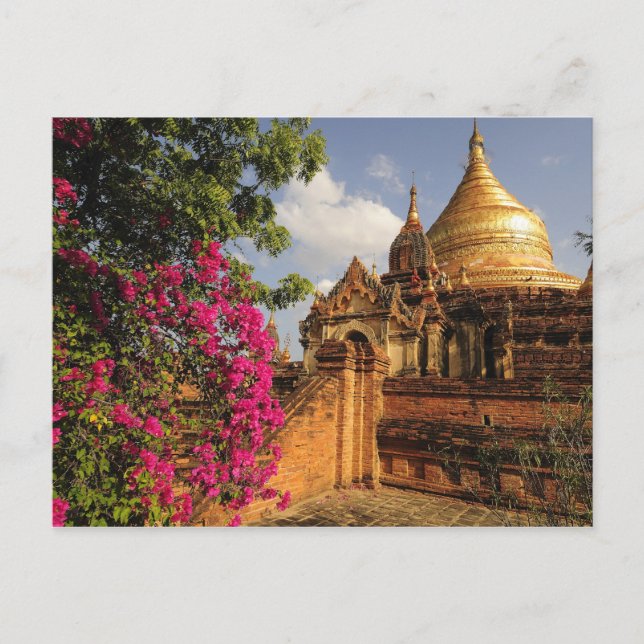 Carte Postale Pagode Dhamma Yazaka à Bagan (Pagan), Myanmar (Devant)