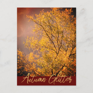 Carte postale Paillettes de Lumière d'Automne