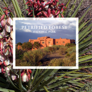 Carte Postale Painted Desert Inn, parc national de Petrified For