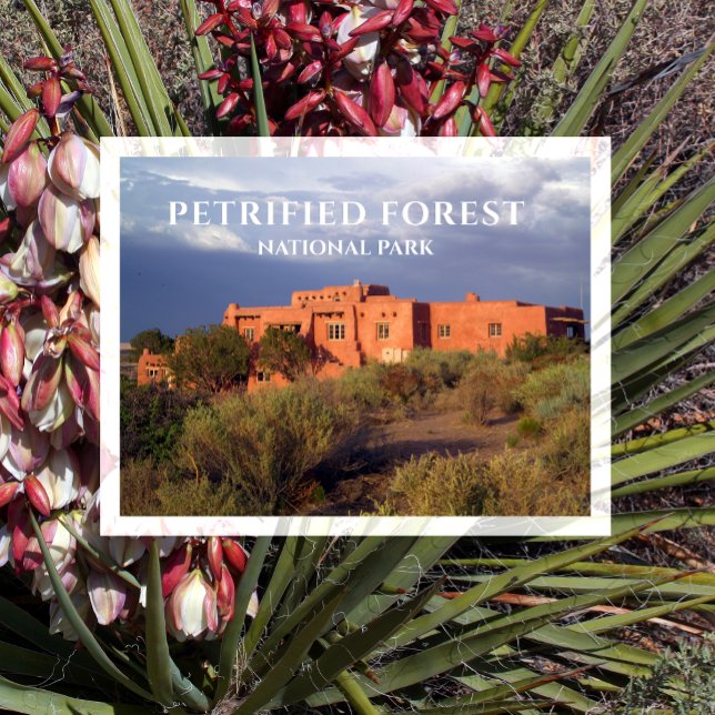 Carte Postale Painted Desert Inn, parc national de Petrified For (Créateur téléchargé)