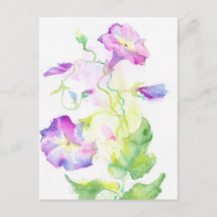 Carte Postale Painted watercolor convolvulus flowers