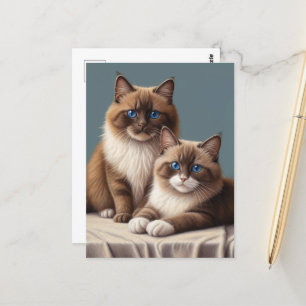 Carte Postale Paire confortable de chats Ragdoll Fluffy Pet Art