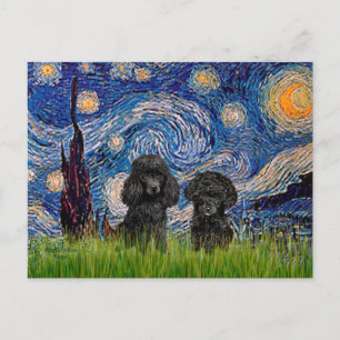 Carte Postale Paire de caniche (noir) - Nuit étoilée
