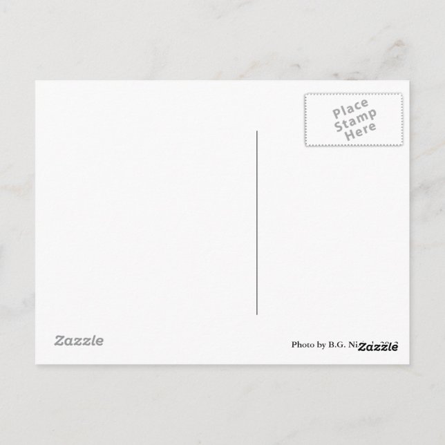 Carte Postale Paire de chiens métalliques (Dos)