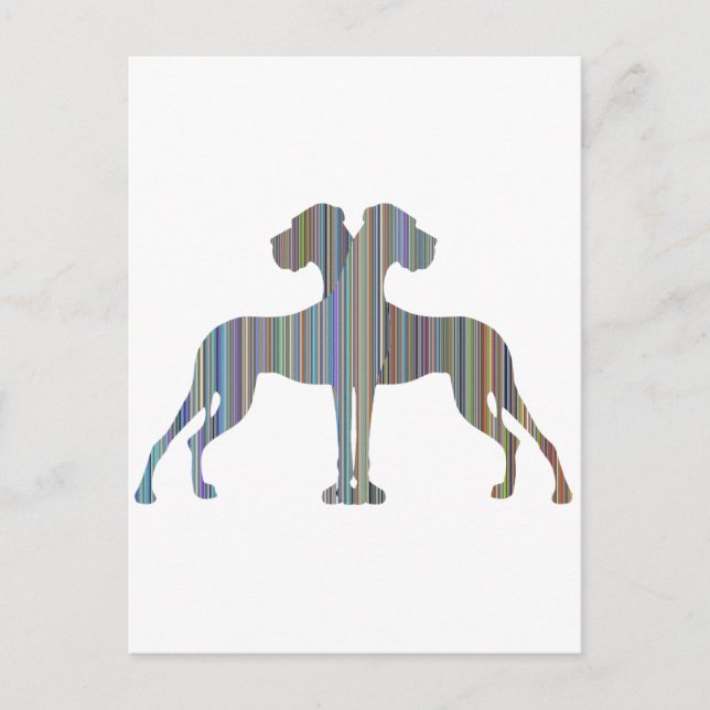 Carte Postale Paire de Danois (Devant)