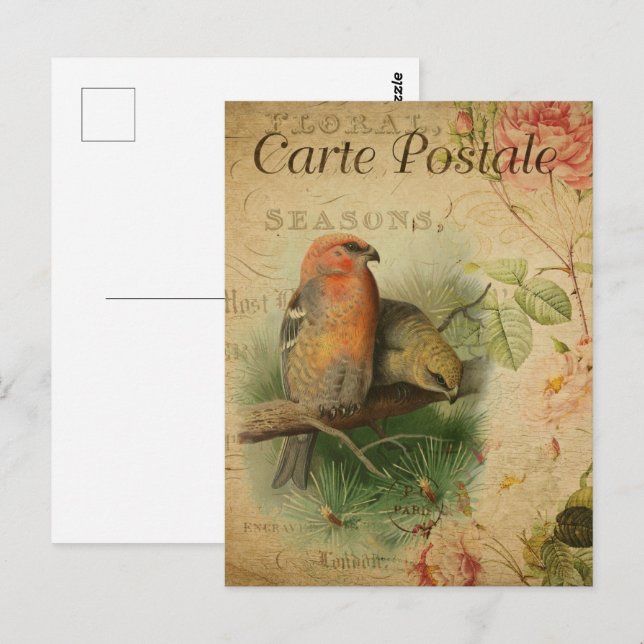 Carte Postale Paire vintage d'oiseaux (Devant / Derrière)