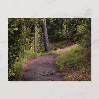 Carte Postale Paisible Forest Trail sur le mont Lemmon