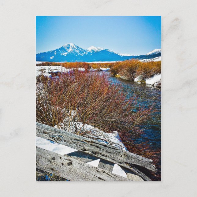 Carte Postale "Paix" (Devant)