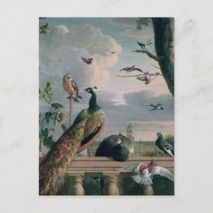 Carte Postale Palais d'Amsterdam avec Oiseaux exotiques